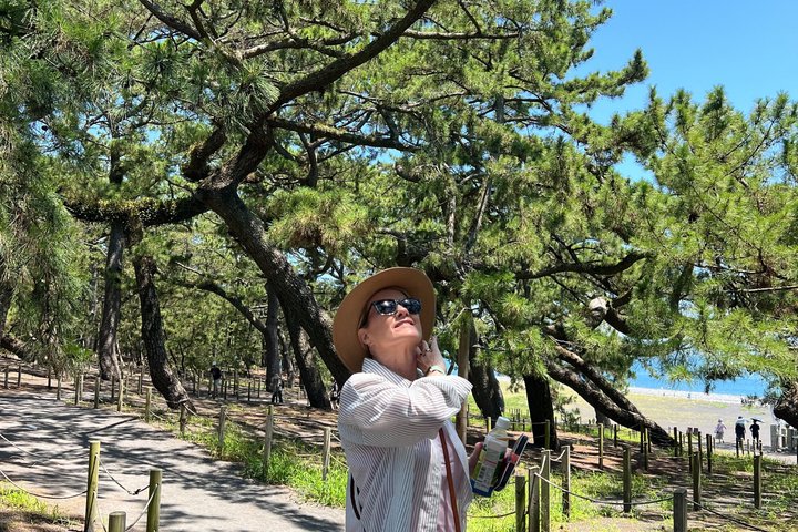 Shimizu Port Pickup: Mt. Fuji & Miho no Matsubara Tour