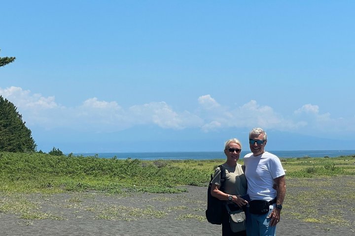 Shimizu Port Pickup: Mt. Fuji & Miho no Matsubara Tour
