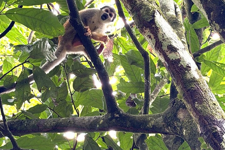 360° Jungle Day Tour Expedition Amazonia Ecuador rainforest