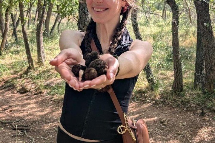 Truffle hunting with tasting in the woods