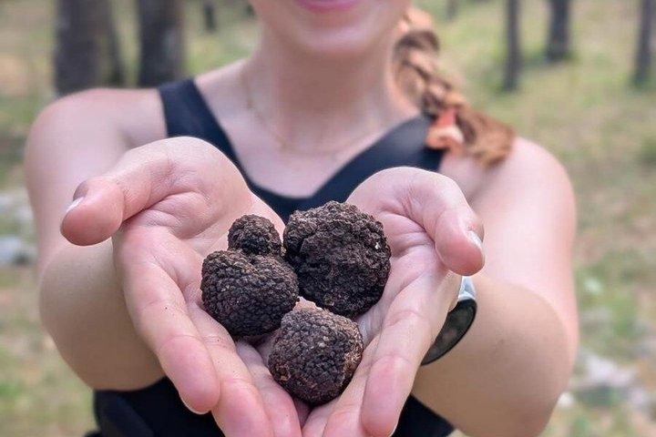 Truffle hunting with tasting in the woods