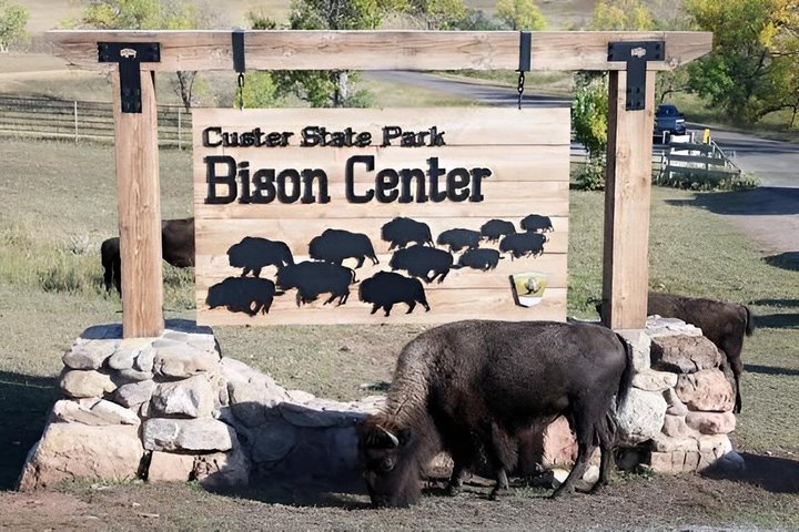 2026 - Sept 25th - Custer Buffalo Roundup and Corrals