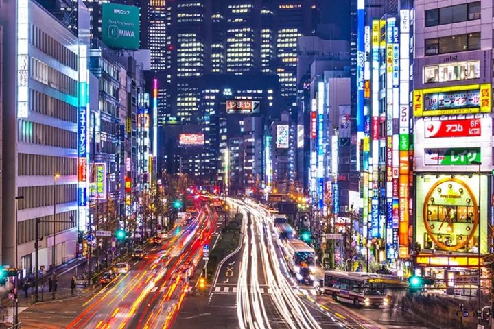 Private Transfer Between Tokyo Cruise Terminal and Narita Airport