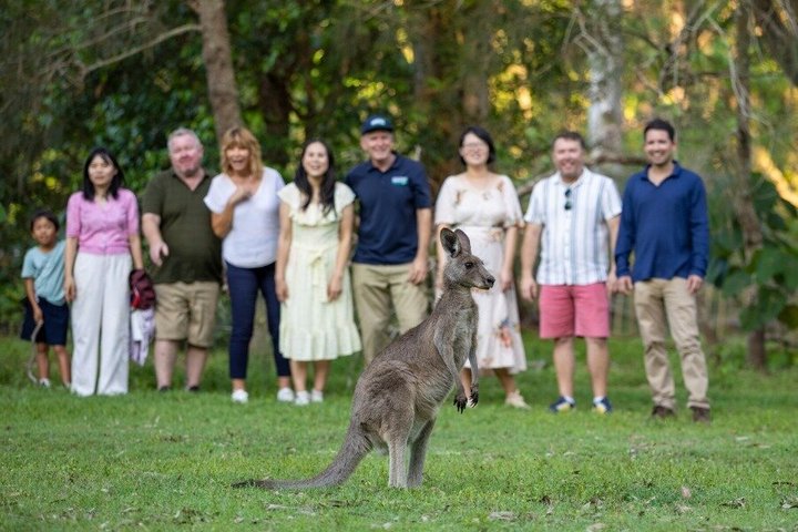 Gold Coast Day Tour From Brisbane