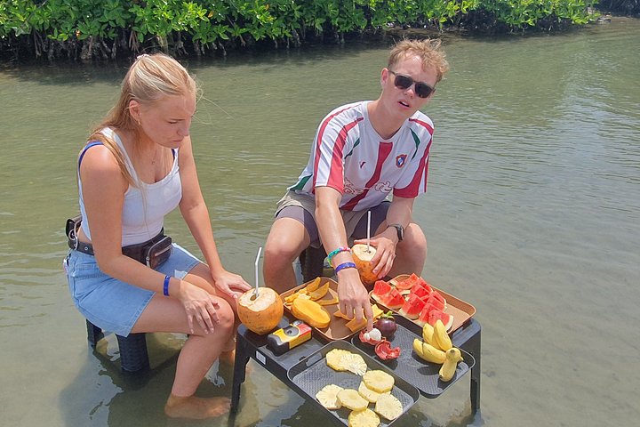 Negombo Lagoon Boat Safari Hotel Pickup(Monkey,Mangrove)