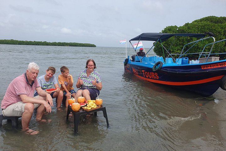 Negombo Lagoon Boat Safari Hotel Pickup(Monkey,Mangrove)