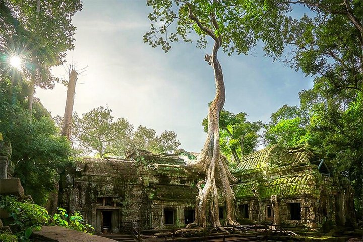 Angkor Wat Sunrise Private Tour with Guide from Siem Reap