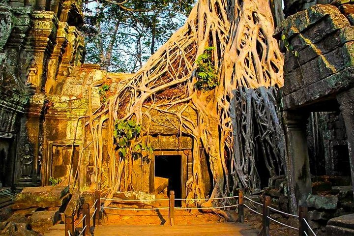 Angkor Wat Sunrise Private Tour with Guide from Siem Reap