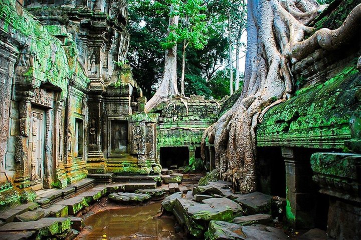 Angkor Wat Sunrise Private Tour with Guide from Siem Reap