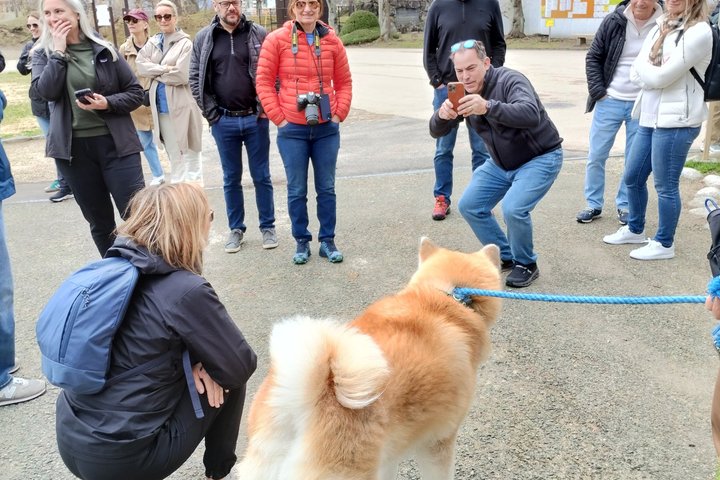 Akita: Private Guided Tour with Optional Kakunodate Visit