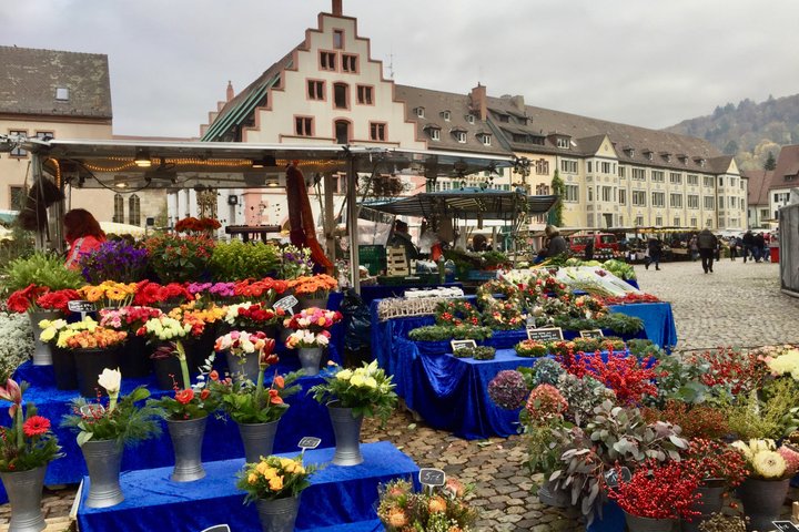 Private Old Town guided tour with native Freiburger approx. 90 min