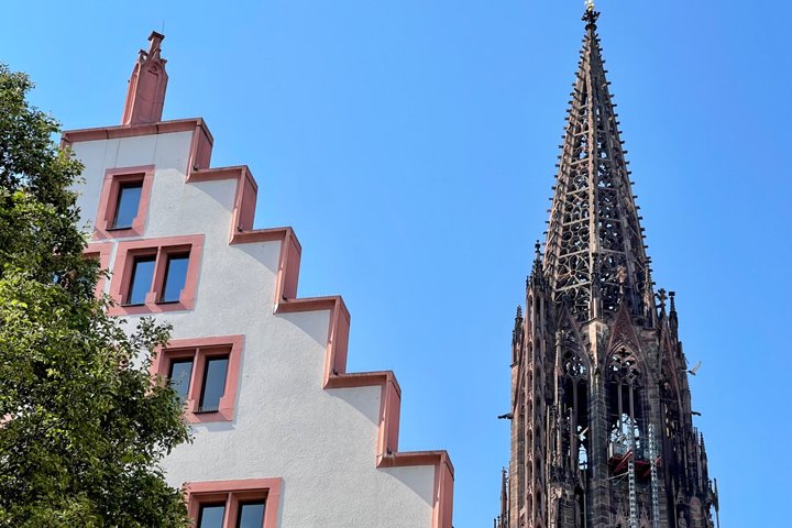 Private Old Town guided tour with native Freiburger approx. 90 min