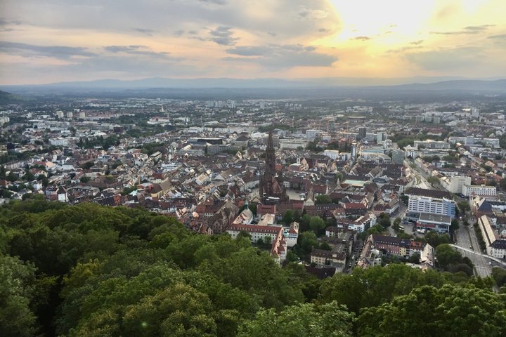 Private Old Town guided tour with native Freiburger approx. 90 min