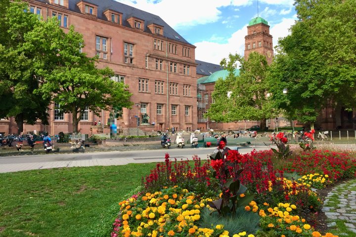 Private Old Town guided tour with native Freiburger approx. 90 min