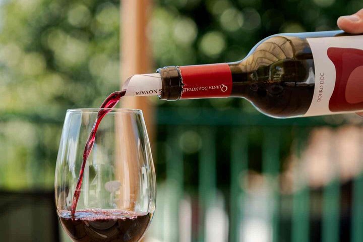 Douro Valley Lunch at Quinta dos Novais with Wine Pairings