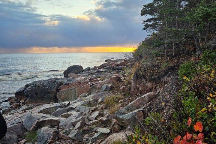 Cabot Trail Scenic Highlights Tour