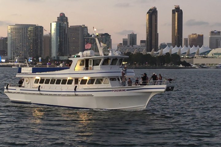 San Diego Whale/Dolphin Watching Cruise Aboard Luxury Vessel