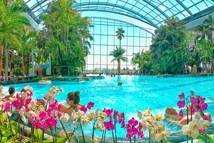 Relax and Fun at Thermal Spa Bucharest (Admission Ticket)