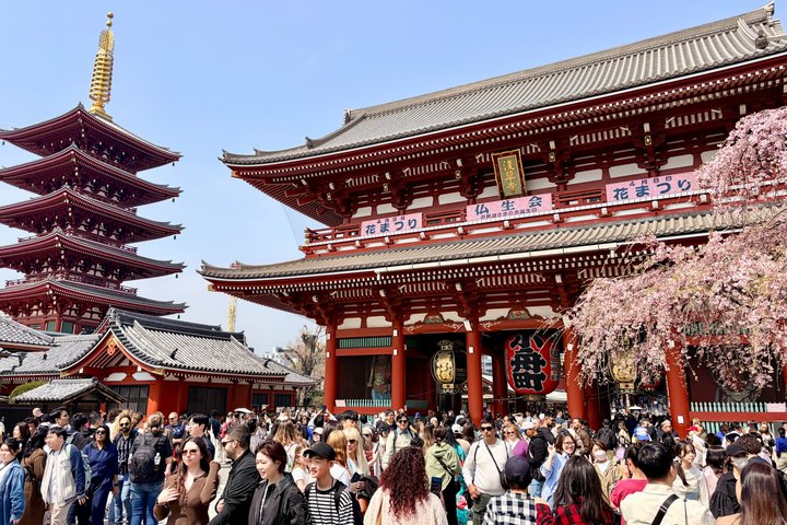 Tokyo Private Custom Tour by Car with Local Guide