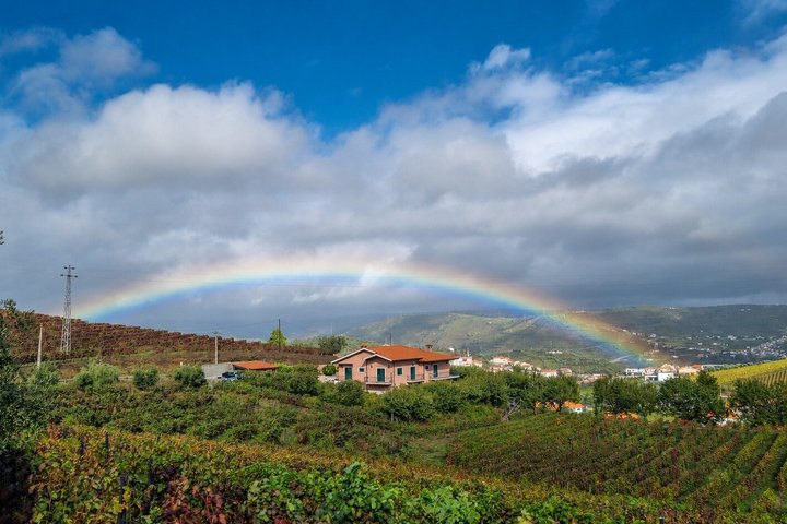 Douro Valley Small-Group Wine Tour: 2 Wineries, Cruise & Lunch