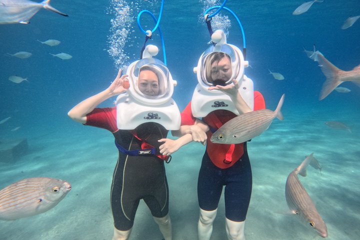 Sea Trek Underwater Walk in Tenerife – No Swimming Required