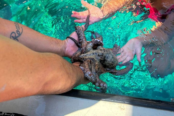 Trogir/Split: Private Blue Lagoon & Snorkelling Adventure