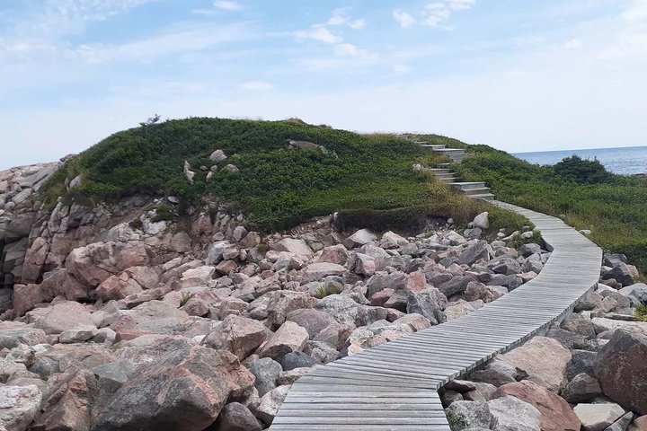 Cabot Trail Scenic Highlights Tour