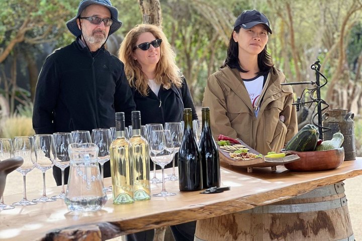 4 Exclusive & boutique wineries in Casablanca - Tanino Restaurant