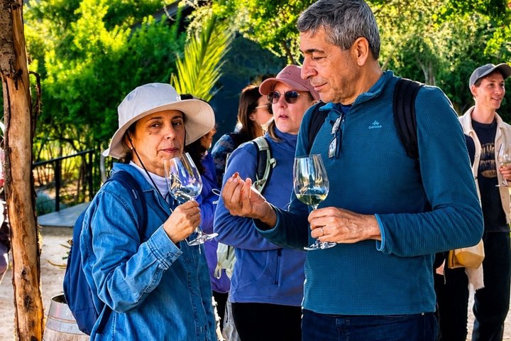 4 Exclusive & boutique wineries in Casablanca - Tanino Restaurant