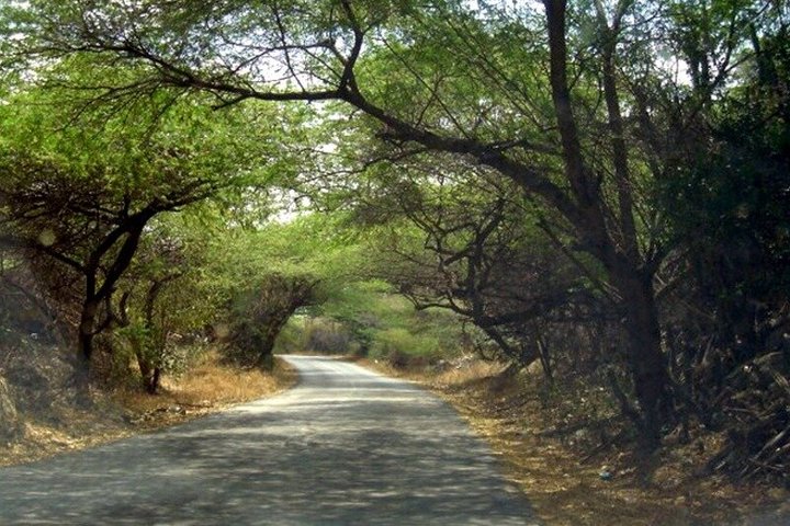 UTV Morning Tour: Discover Aruba's Hidden Treasures