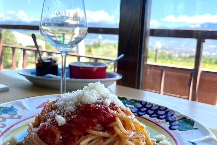 Pompeii & Mt. Vesuvius Elite Tour & Lunch From Naples