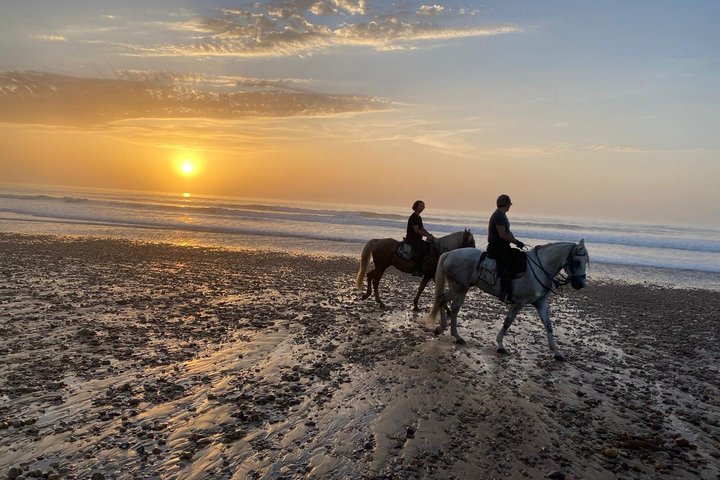 2-Hour Beach & Dunes Horse Ride in Essaouira (Day or Sunset)