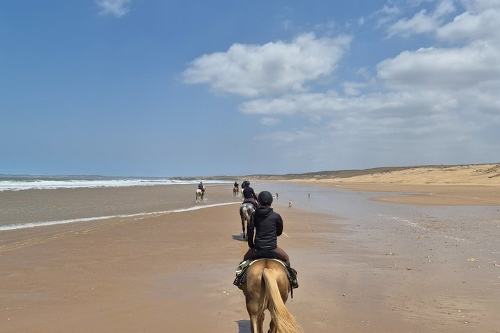 2-Hour Beach & Dunes Horse Ride in Essaouira (Day or Sunset)
