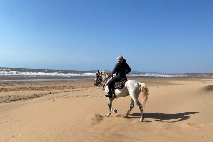 2-Hour Beach & Dunes Horse Ride in Essaouira (Day or Sunset)