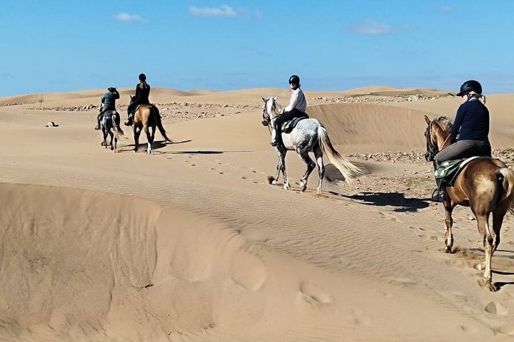 2-Hour Beach & Dunes Horse Ride in Essaouira (Day or Sunset)