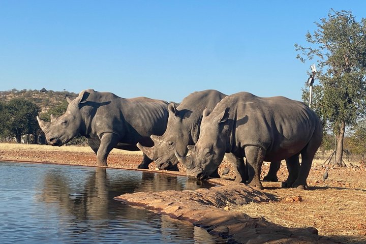 3 Days Etosha National Park Safaris