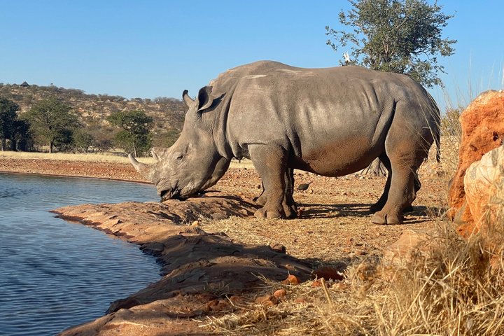 3 Days Etosha National Park Safaris