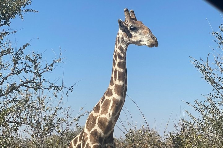 3 Days Etosha National Park Safaris