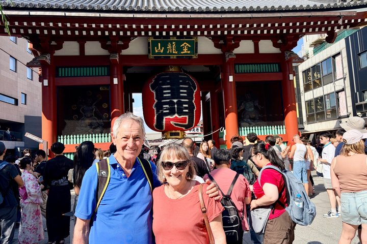 Tokyo Private Half-Day Highlights Tour by Car with Guide
