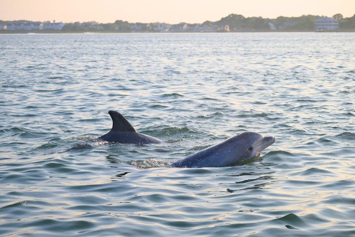 Private 12 Passenger Ocean & Bay Assateague Island Sunset Cruise