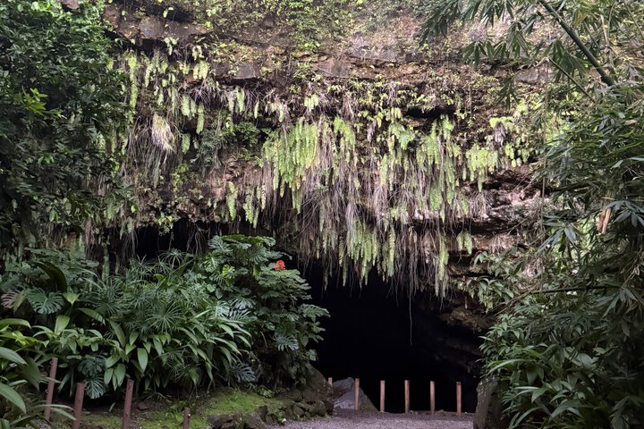 Tahiti, 4h30 Guided Tour, East and West Coast of Tahiti Nui