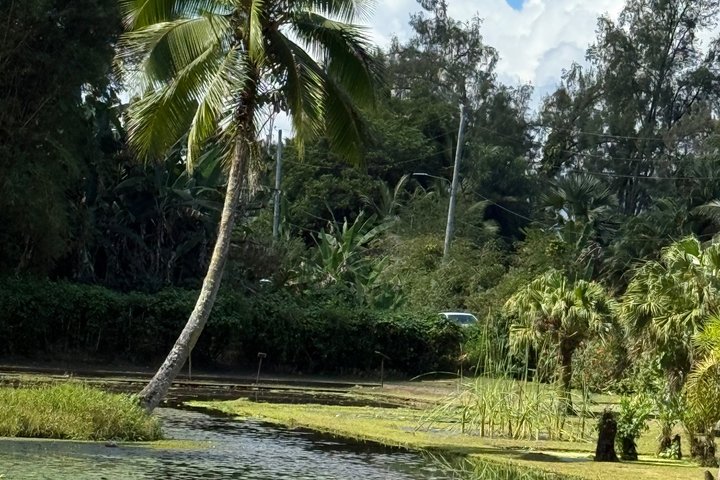 Tahiti, 4h30 Guided Tour, East and West Coast of Tahiti Nui