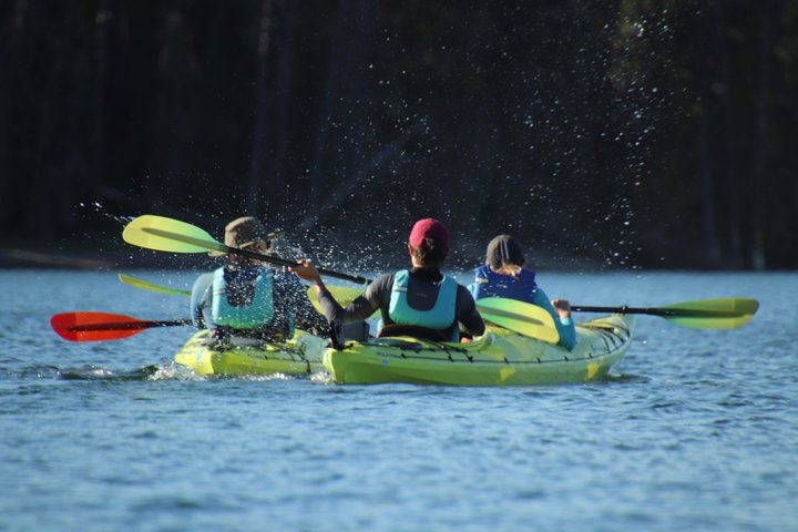 Yellowstone Lake & Hot Springs / 3 Hour Morning or Twilight Tour