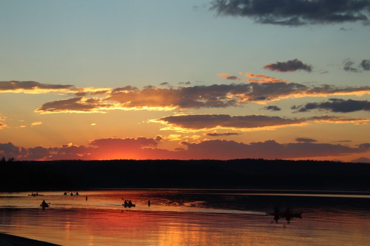 Yellowstone Lake & Hot Springs / 3 Hour Morning or Twilight Tour