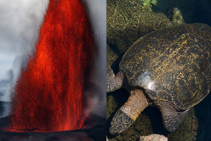 Big Island: Hawaii Volcanoes, Waterfalls and Hilo Adventure