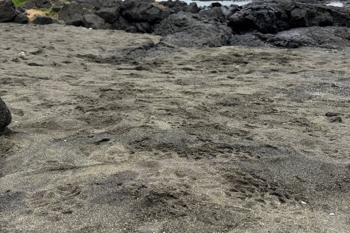 Big Island: Hawaii Volcanoes, Waterfalls and Hilo Adventure