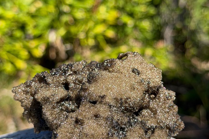 Hawaii Volcanoes National Park Adventure