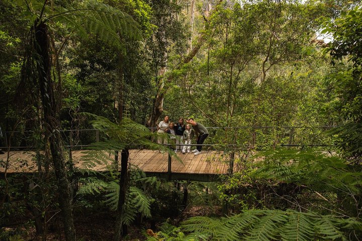 Blue Mountains Tour: Deluxe Small Group, ScenicWorld, Featherdale