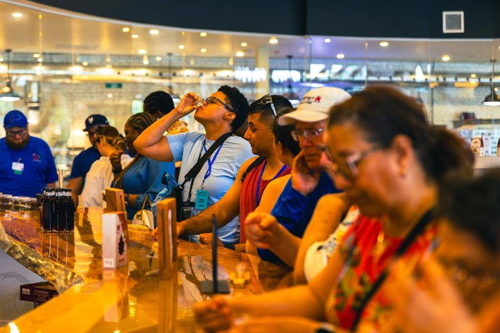 Niagara Falls American and Canadian 1 Day Tour W/ Maid Boat Ride