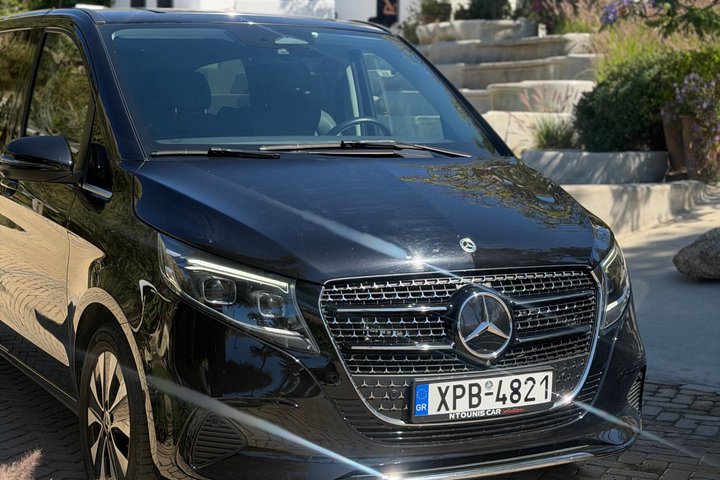 Mykonos Small Group Tour for Cruise Passengers — Port Pickup